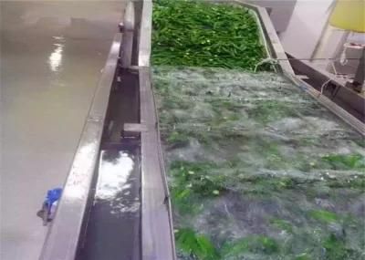 Factory Price Air Bubblefood Cleaning Fruit Vegetable Washing Machine