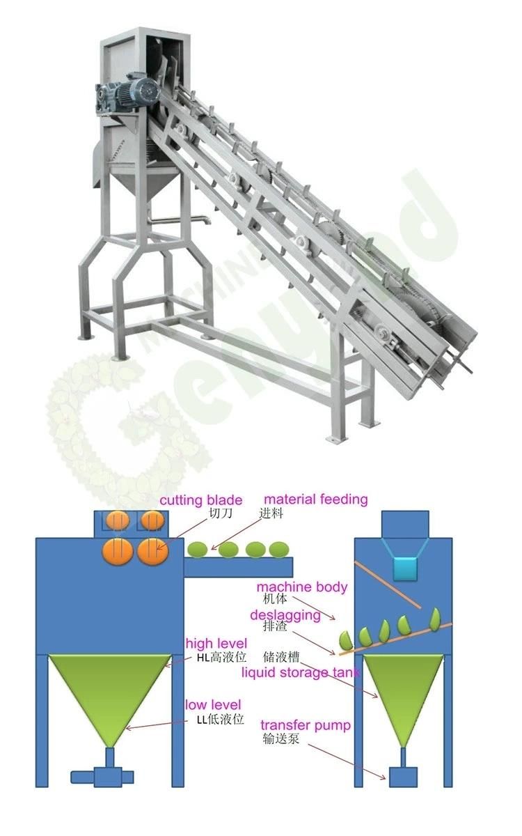 Coconut Peeling Machine for Coconut Milk Processing Machine