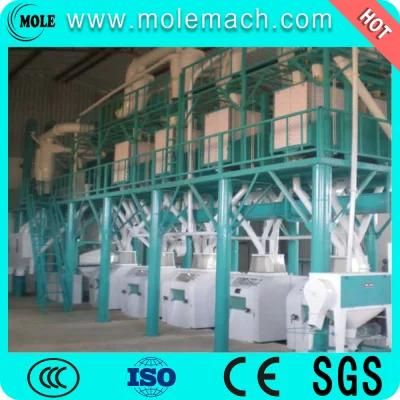 120t/24h Wheat Maize Flour Mill