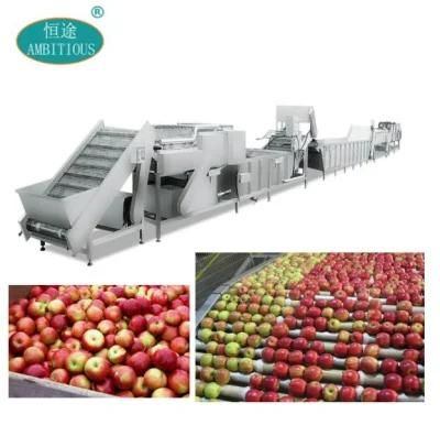 Apple Processing Line Frozen Fruit Processing Line Machinery