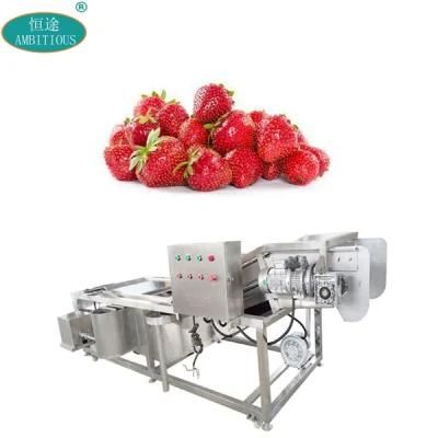 Automatic Fruits Cleaning Processing Machine Strawberry Washing Machine