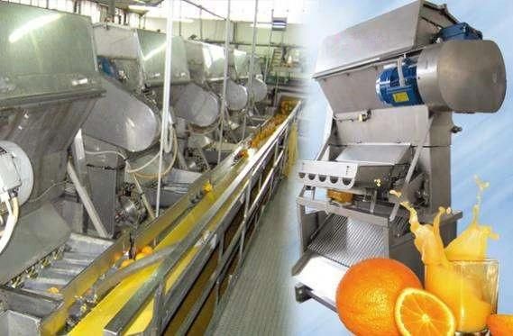 Top Quality Lemon Skin Oil Extraction Machine