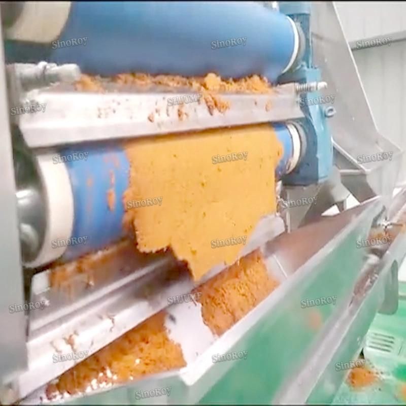 Rosa Roxburghii Processing Line/Rosa Roxburghii Juice Processing Line