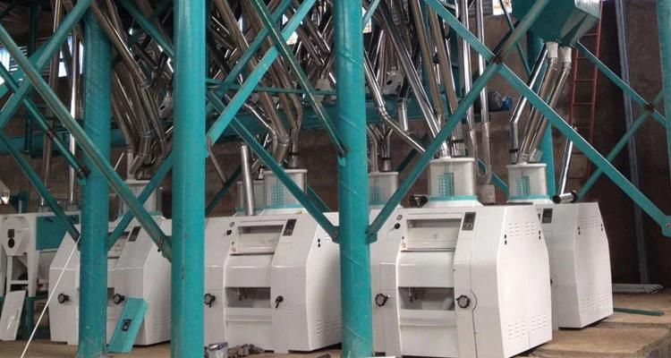 100t/24h Wheat Flour Mill Production Line for Sale
