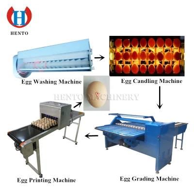 Great Demand Food Egg Washing Drying Candling Sorting Machine / Egg Washer Candler Grader ...