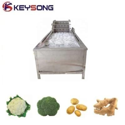 Stainless Steel Automatic Fruits Vegetables Washing Processing Machine