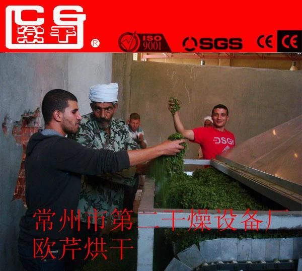 Scallion Dedicated Belt Drying Machine