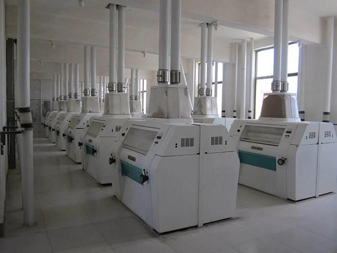 200t Automatic Wheat Flour Mill Machinery with PLC Control