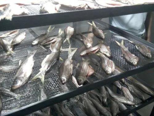 Industrial Hot Air Dehydrating Drying Machinery Dried Fish Machine