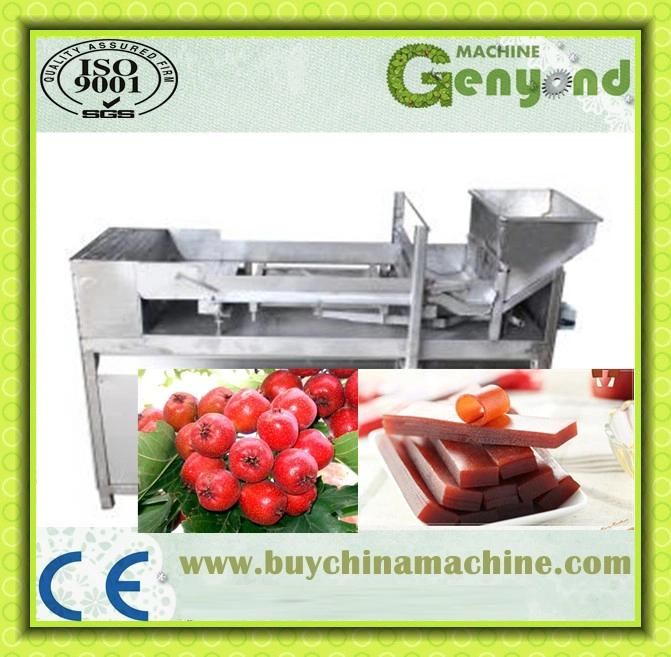 Fruit Leather/Fruit Bar Production Line