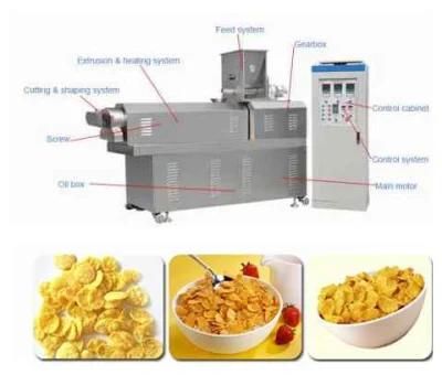 Stainless Steel Fried Corn Snacks Food Machine