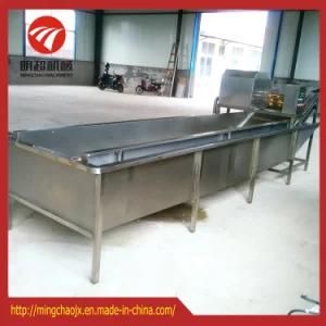 Fruit /Vegetable Processing Line with Washing Cutting Drying /Packing Machine