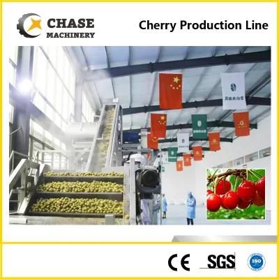 Fruit/ Vegetable Washing Cleaning Sorting and Packing Machine