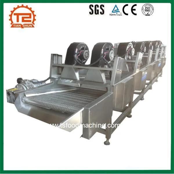 Industrial Fruits Conveyor Mesh Belt Dryer Apple Drying Machine