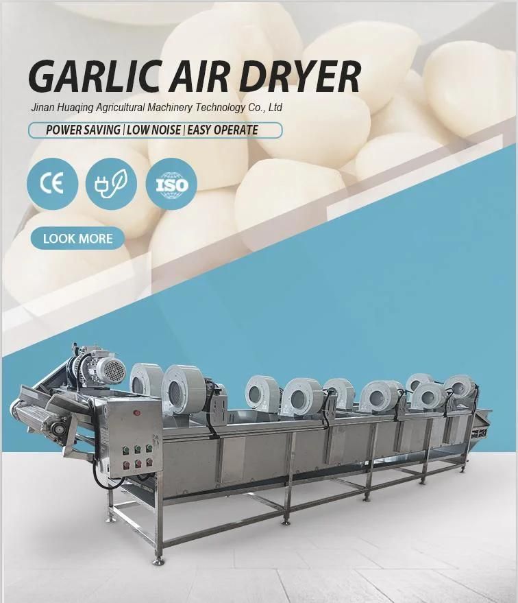 Full Automatic Overturning Air Dryer for Fruits and Vegetables