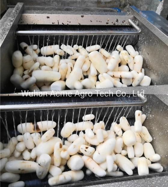 Cassava Washer Tapioca Peeler Machine