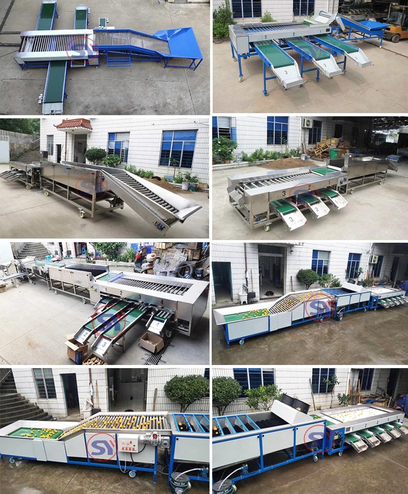 Fruit&Vegetable Blueberry Sorter Sorting Grading Machine by Size for Potato Tomato