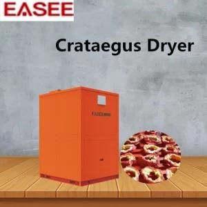 Fruit Drying Machine/ Crataegus Dryer/ Closed Dryer Machine Oven