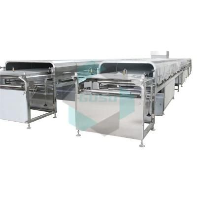 Hot Sale Ce Certified Chocolate Enrobing Machine (TYJ800)