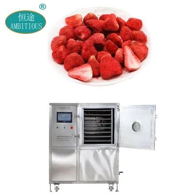 Small Vacuum Freeze Dryer Machine New Design Strawberry Lyophilizer