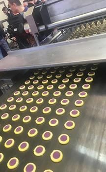 Mini Type Semi-Automatic Cookie Production Line Cookie Machine