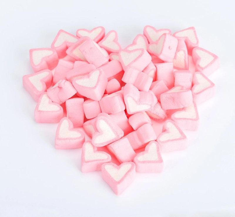 Exm1000-F Complete Extruded Marshmallow (Cotton Candy) Line