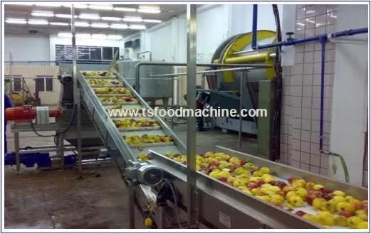 Commerical Fruit Pear Washing Machine, Fruit Washing Line