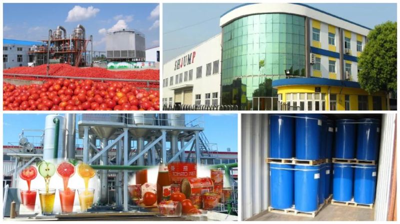 Industrial Tomato Sauce Making Equipment & Machine