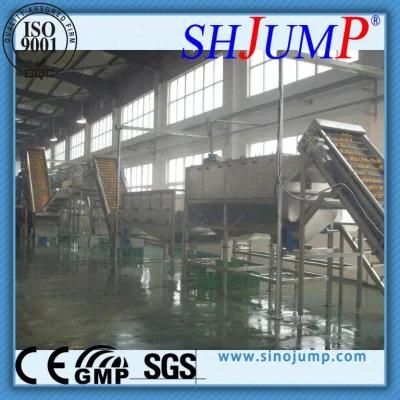 Apple Juice Processing Plant/Apple Puree Production Machinery/ Apple Juice Concentration ...