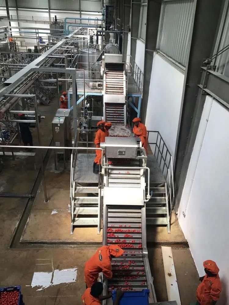 Large Capacity Tomato Vegetable Processing Line