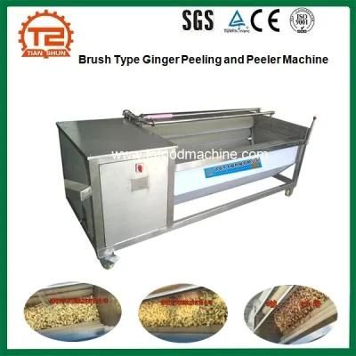 Brush Type Ginger Potato Cassava Washer and Washing Machine with Factory Price