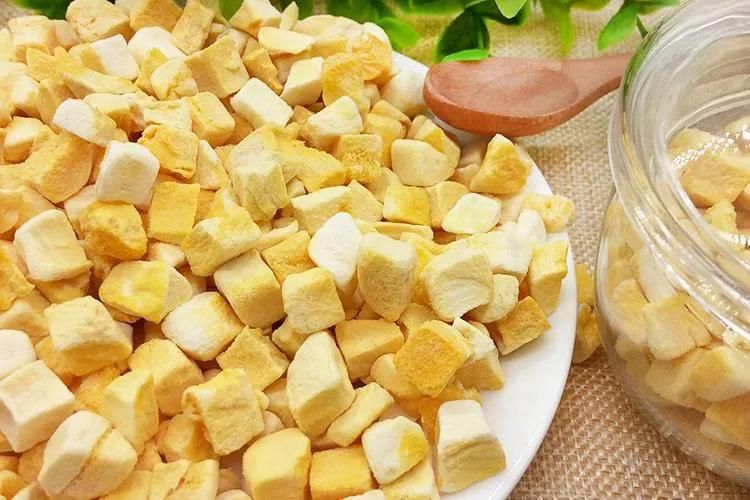 Freeze Drying Machines Fruits Dried Fruit Mango Freeze Dryer Machine