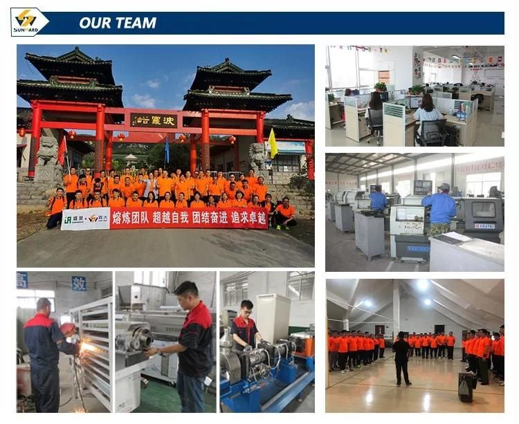 Dry Pet Food Processing Machine Dog Food Cat Food Production Machinery