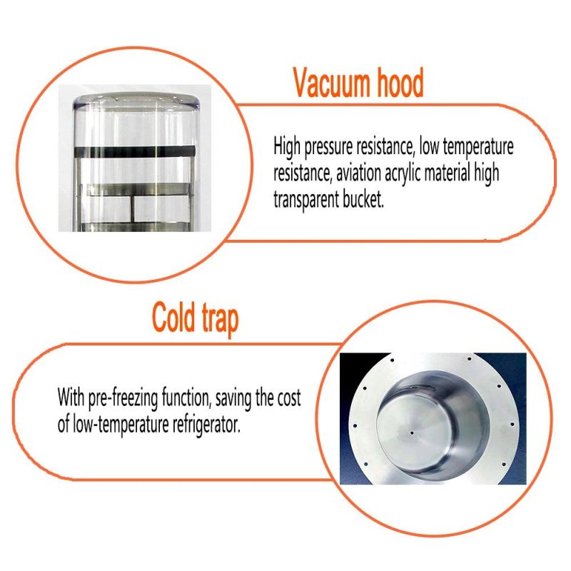 Desktop Pharmaceutical Food Chemical Vacuum Dryer Machine Freeze Dryer
