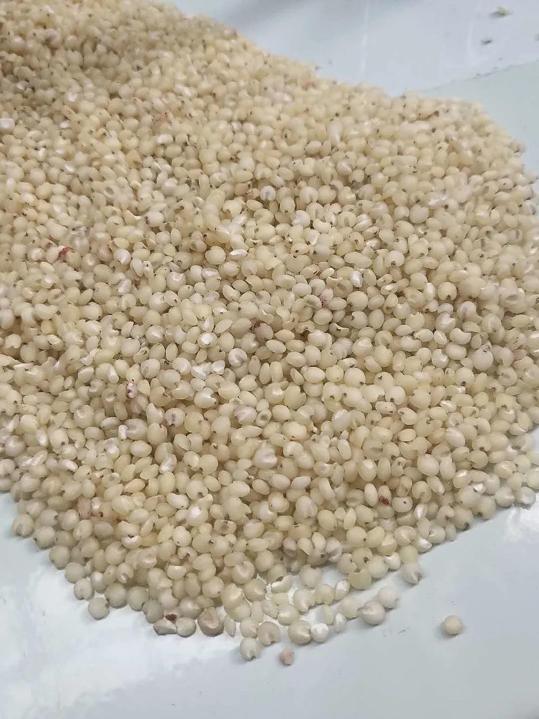 Clj Brand Sorghum Rice Process Professional Auto Rice Mill Machine in Egypt