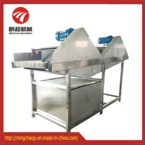 Lotus Root/White Turnip Parallel Brush Rollers Washing / Buffing Machine