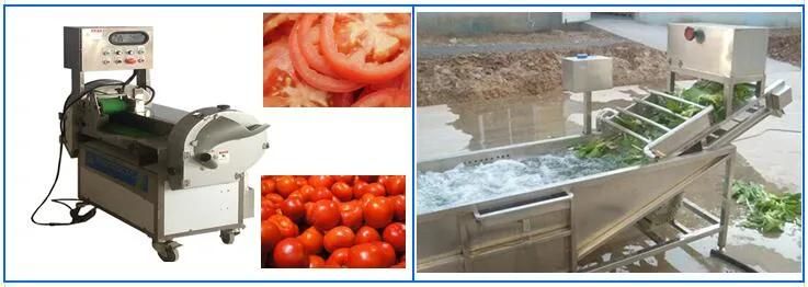 Vegetable Washing Cutting and Drying Machine