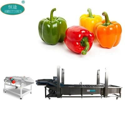Vegetable Washing Machines Line Capsicum Washing and Drying Machine
