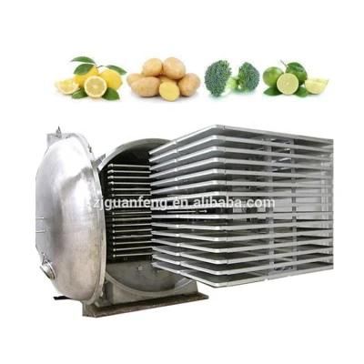 Fruits and Vegetables Freeze Food Dryer Equipment Lyophilizer Price