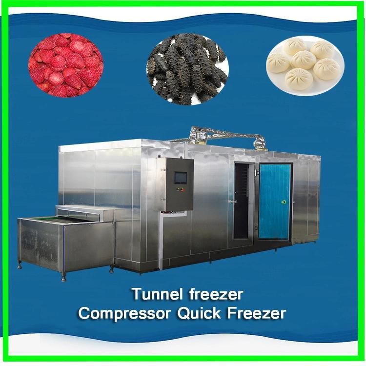 Individual Quick Freezing Machine IQF/Meat Quick Freezing Machine