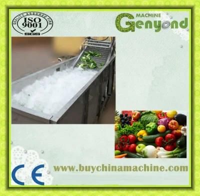 Full Stainless Steel Fruit Washing Machine