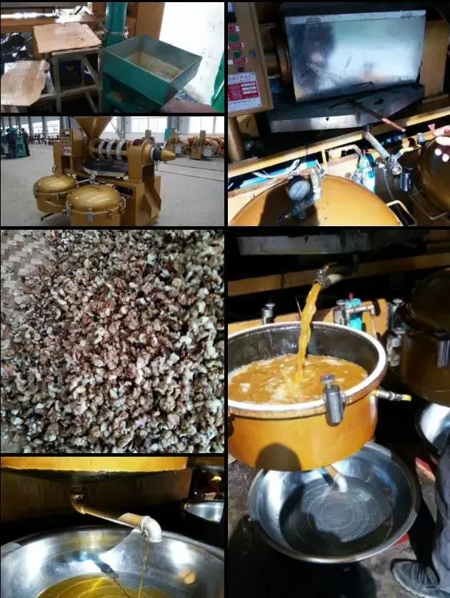Guangxin Top Sales in Sunflower Combined Oil Press