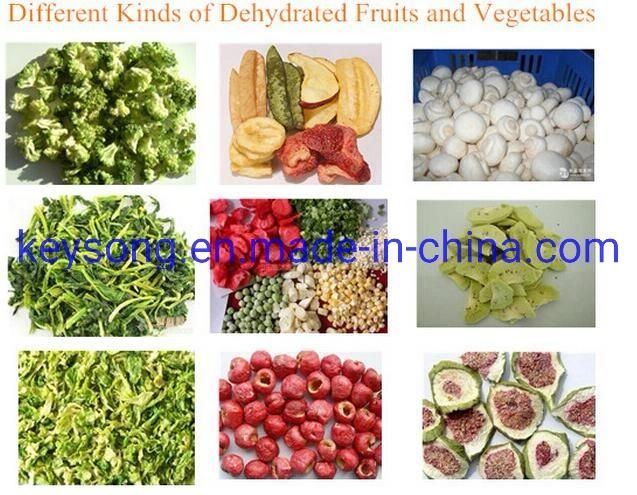 Five-Layer Steam Dryer 800kg/H Industrial Fruit and Vegetable Dehydrator