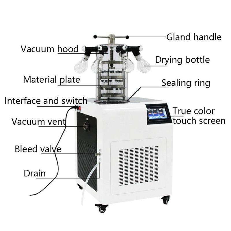 Lab Equipment Lyophilizer Used Vacuum Mini Freeze Dryer