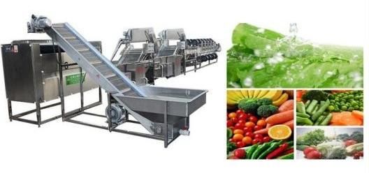 Industrial Automatic Dehydrating Machine for Garlic Carrot Leafy Vegetable Processing