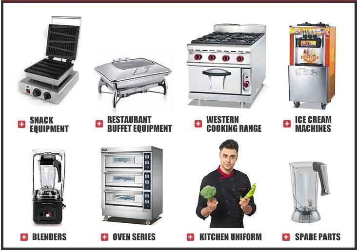 Vertical Rotisserie Gas Electric Shawarma Chicken Rotisserie Grill Machine Roast Chicken Maker Baked Duck Oven