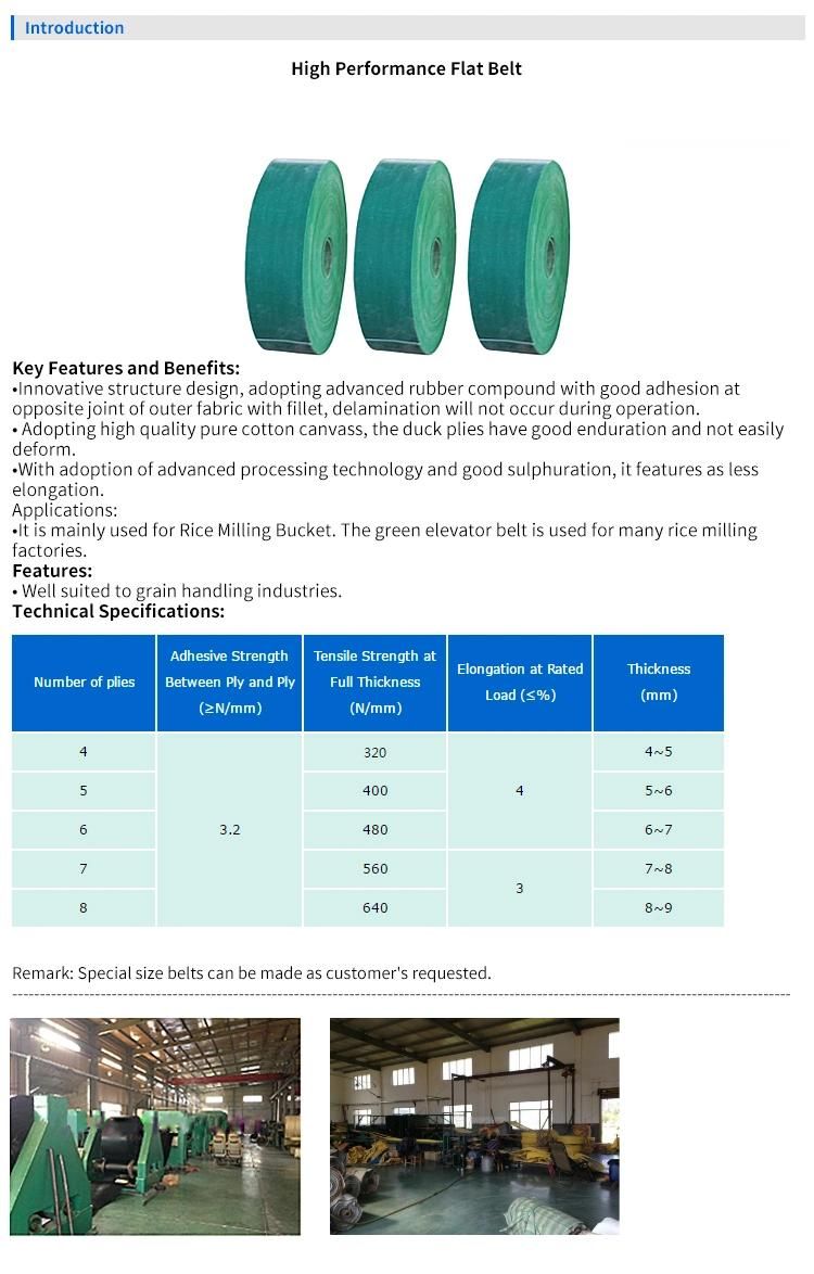 Nylon-Based Band, High-Speed Conveyor Belt