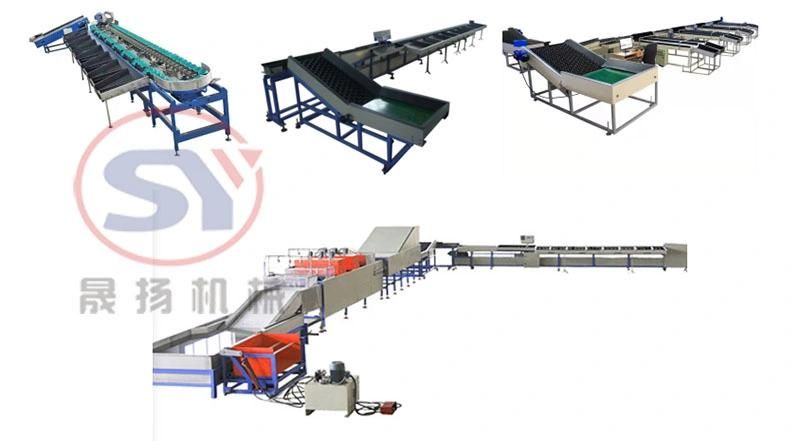 Passion Fruit Diameter Size Soring Machine Passion Fruit Grading Machine