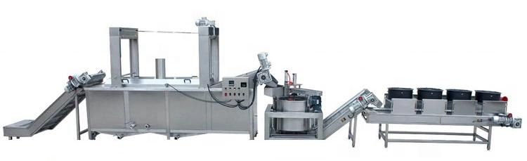 Mango/Banana Seasoning Mixer Machine for Snacks Process Line