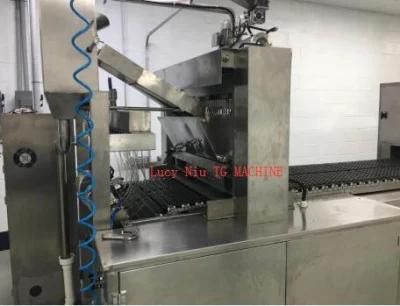 Shanghai Factory Soft Jelly Candy Machine